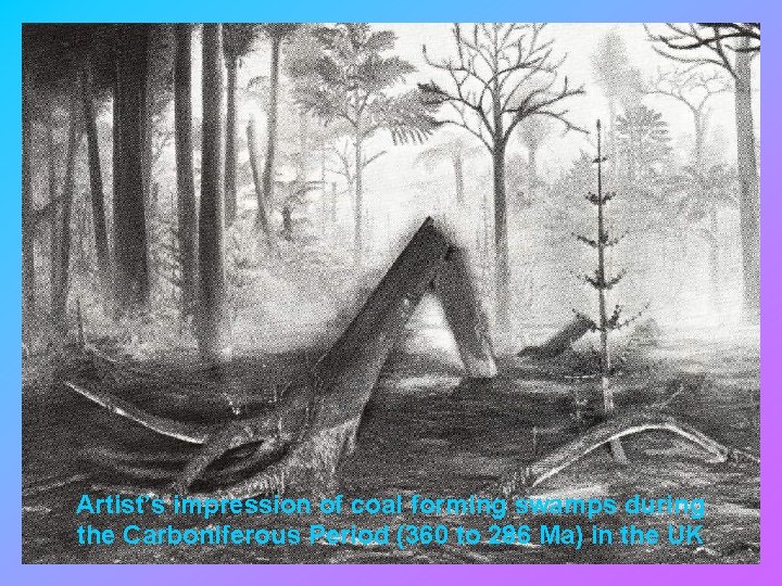 Artist’s impression of coal forming swamps during the Carboniferous Period (360 to 286 Ma)