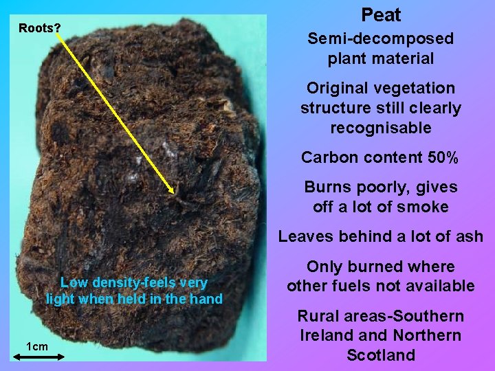 Roots? Peat Semi-decomposed plant material Original vegetation structure still clearly recognisable Carbon content 50%