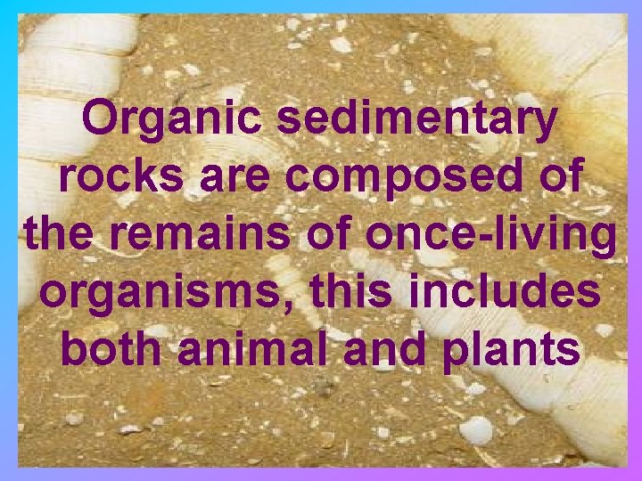 Organic sedimentary rocks are composed of the remains of once-living organisms, this includes both