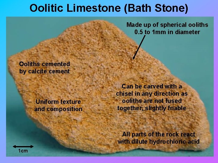 Oolitic Limestone (Bath Stone) Made up of spherical ooliths 0. 5 to 1 mm