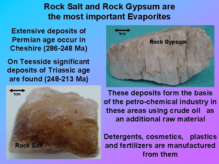 Rock Salt and Rock Gypsum are the most important Evaporites Extensive deposits of Permian