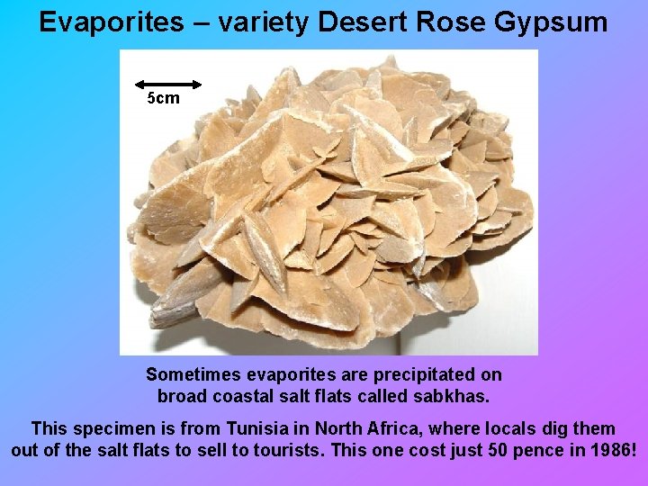 Evaporites – variety Desert Rose Gypsum 5 cm Sometimes evaporites are precipitated on broad
