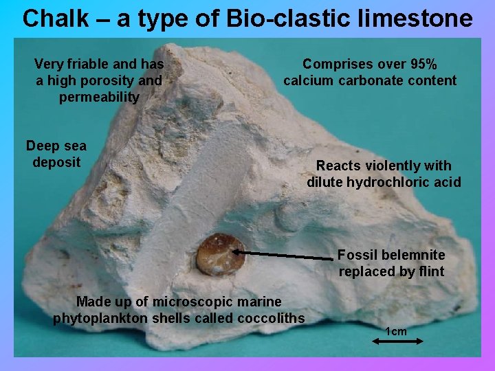 Chalk – a type of Bio-clastic limestone Very friable and has a high porosity