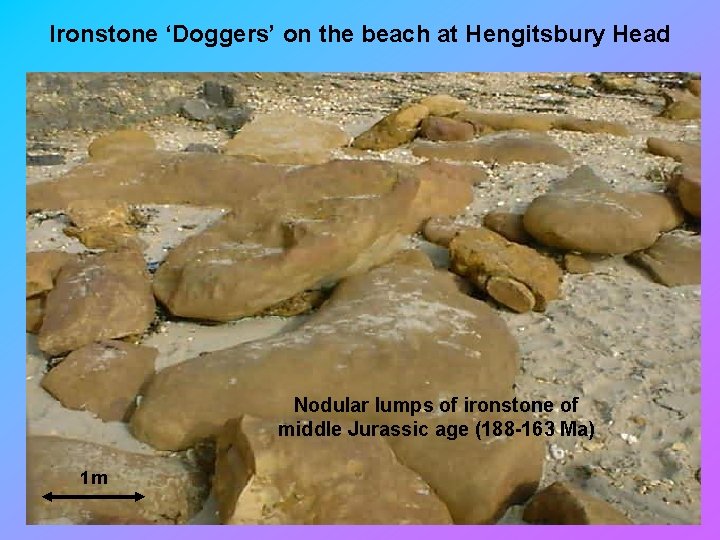 Ironstone ‘Doggers’ on the beach at Hengitsbury Head Nodular lumps of ironstone of middle