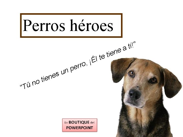 Perros héroes u s ne r r e np "Tú e i t no