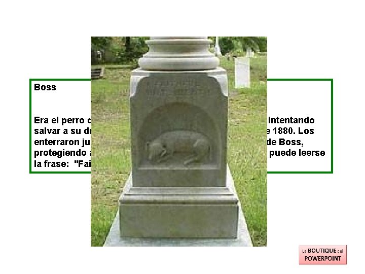 Boss Era el perro del capitán William A. Ellerbrock, y murió intentando salvar a