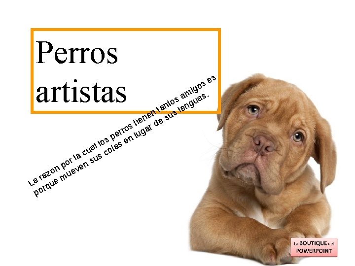 Perros artistas s se o ig. m a as s o t gu n