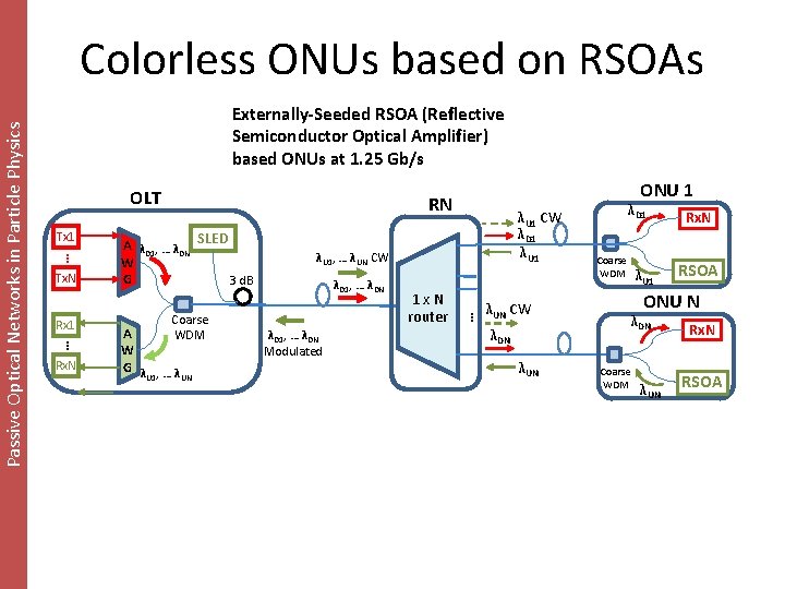 Externally-Seeded RSOA (Reflective Semiconductor Optical Amplifier) based ONUs at 1. 25 Gb/s OLT Tx