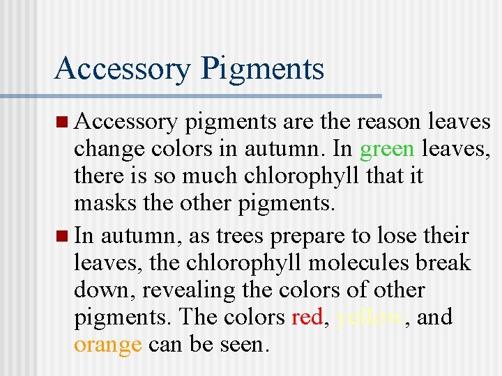 Accessory Pigments n Accessory pigments are the reason leaves change colors in autumn. In