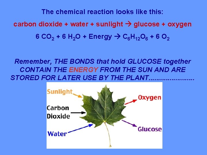 The chemical reaction looks like this: carbon dioxide + water + sunlight glucose +