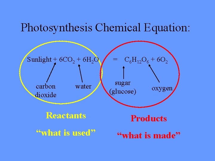 Photosynthesis Chemical Equation: Sunlight + 6 CO 2 + 6 H 2 O carbon