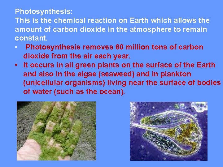 Photosynthesis: This is the chemical reaction on Earth which allows the amount of carbon