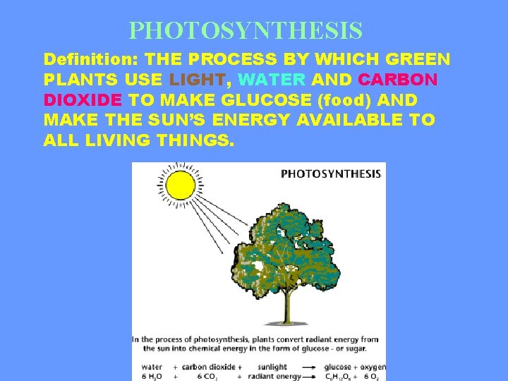 PHOTOSYNTHESIS Definition: THE PROCESS BY WHICH GREEN PLANTS USE LIGHT, WATER AND CARBON DIOXIDE