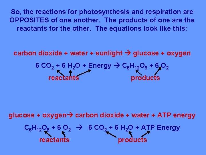 So, the reactions for photosynthesis and respiration are OPPOSITES of one another. The products