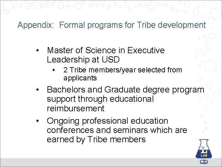 Appendix: Formal programs for Tribe development • Master of Science in Executive Leadership at