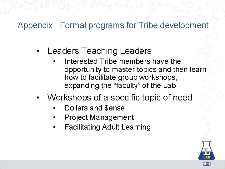 Appendix: Formal programs for Tribe development • Leaders Teaching Leaders • Interested Tribe members