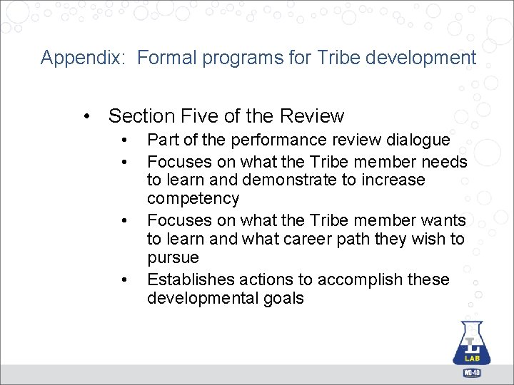 Appendix: Formal programs for Tribe development • Section Five of the Review • •