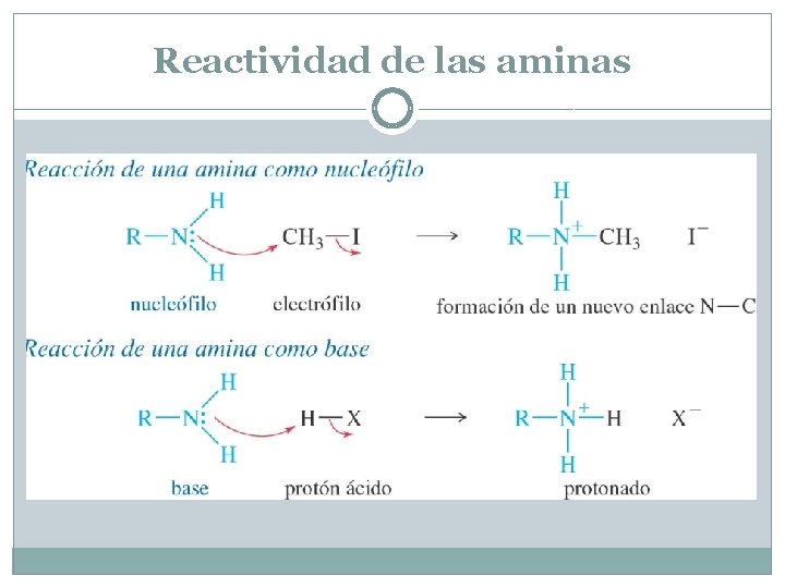 Reactividad de las aminas 