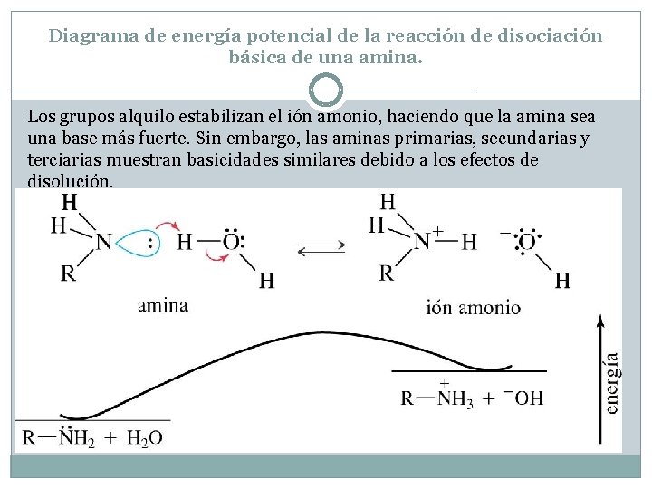 Diagrama de energía potencial de la reacción de disociación básica de una amina. Los