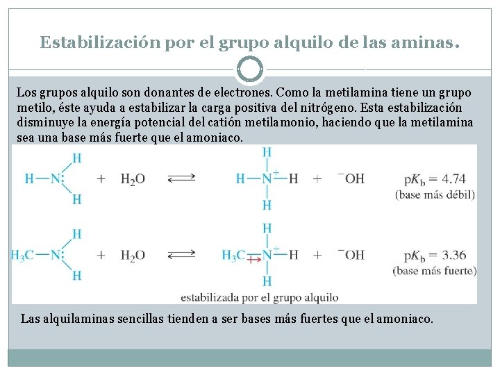 Estabilización por el grupo alquilo de las aminas. Los grupos alquilo son donantes de