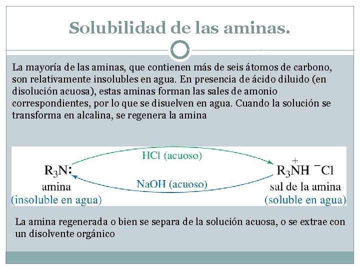 Solubilidad de las aminas. La mayoría de las aminas, que contienen más de seis