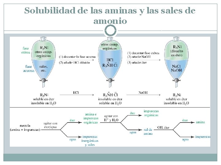 Solubilidad de las aminas y las sales de amonio 
