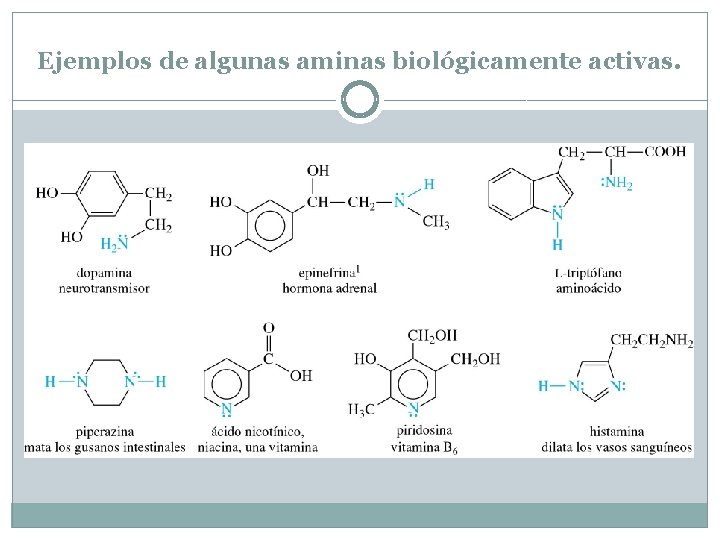 Ejemplos de algunas aminas biológicamente activas. 