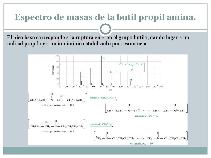 Espectro de masas de la butil propil amina. El pico base corresponde a la