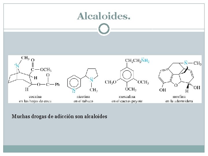 Alcaloides. Muchas drogas de adicción son alcaloides 
