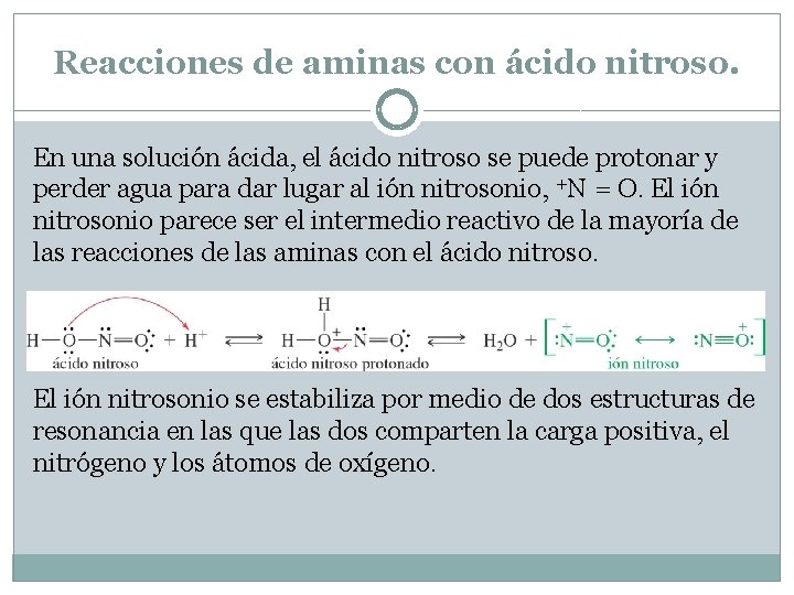 Reacciones de aminas con ácido nitroso. En una solución ácida, el ácido nitroso se