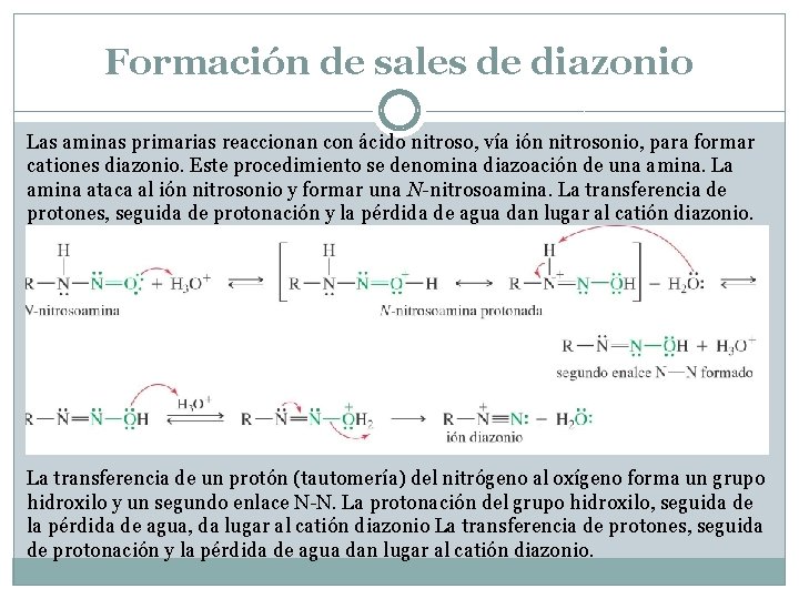 Formación de sales de diazonio Las aminas primarias reaccionan con ácido nitroso, vía ión