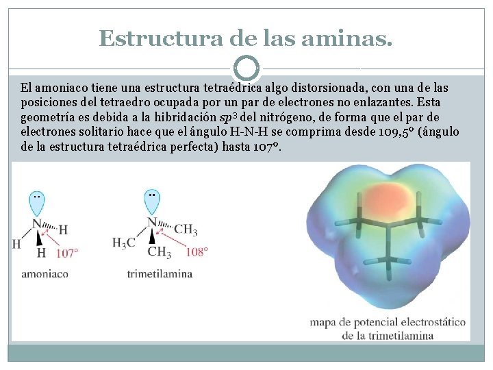 Estructura de las aminas. El amoniaco tiene una estructura tetraédrica algo distorsionada, con una