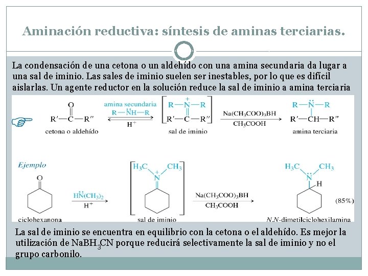 Aminación reductiva: síntesis de aminas terciarias. La condensación de una cetona o un aldehído