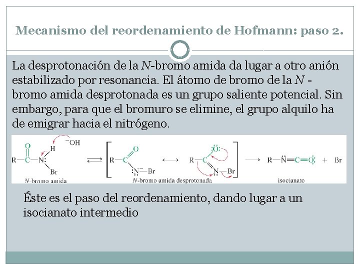 Mecanismo del reordenamiento de Hofmann: paso 2. La desprotonación de la N-bromo amida da