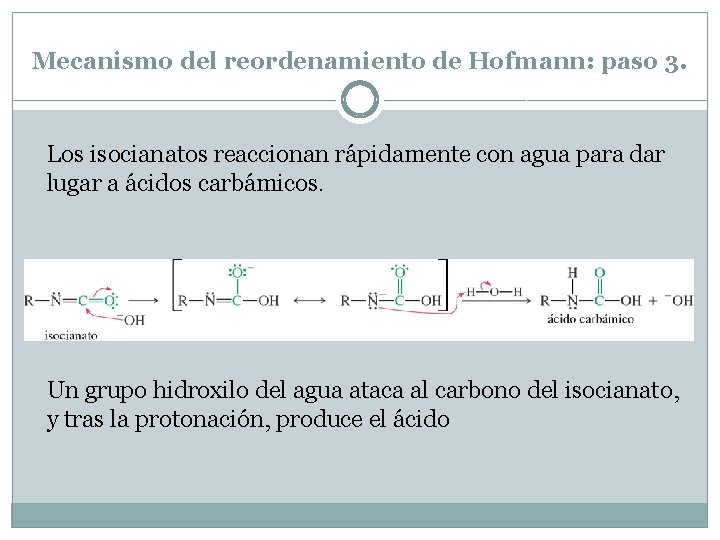 Mecanismo del reordenamiento de Hofmann: paso 3. Los isocianatos reaccionan rápidamente con agua para