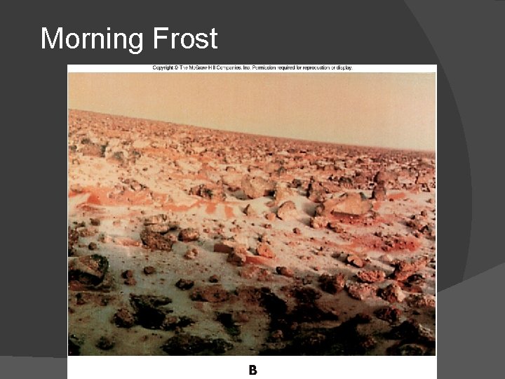 Morning Frost Morning Frost
