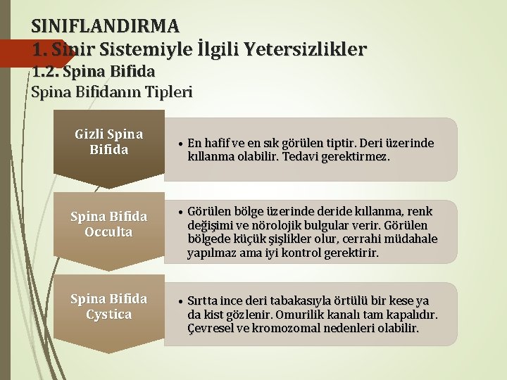 SINIFLANDIRMA 1. Sinir Sistemiyle İlgili Yetersizlikler 1. 2. Spina Bifidanın Tipleri Gizli Spina Bifida