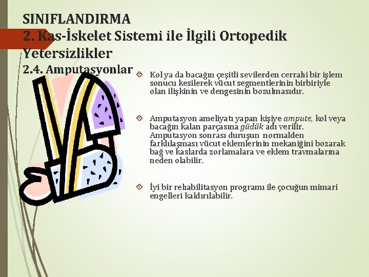 SINIFLANDIRMA 2. Kas-İskelet Sistemi ile İlgili Ortopedik Yetersizlikler 2. 4. Amputasyonlar Kol ya da