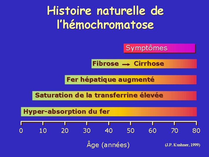 Histoire naturelle de l’hémochromatose Symptômes Fibrose Cirrhose Fer hépatique augmenté Saturation de la transferrine