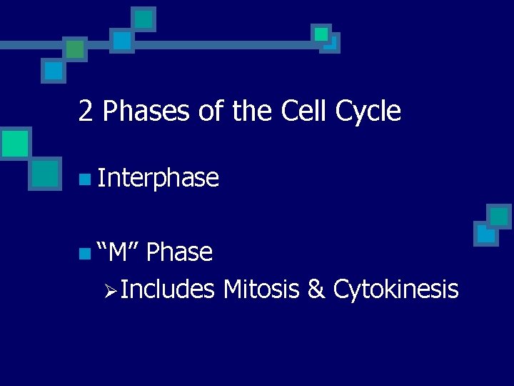 2 Phases of the Cell Cycle n Interphase n “M” Phase ØIncludes Mitosis &
