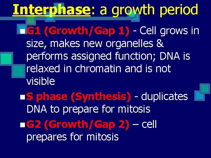Interphase: a growth period n G 1 (Growth/Gap 1) - Cell grows in size,