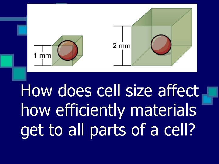How does cell size affect how efficiently materials get to all parts of a