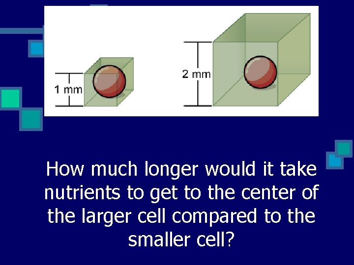 How much longer would it take nutrients to get to the center of the
