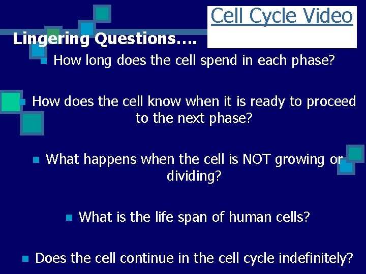 Cell Cycle Video Lingering Questions…. n n How long does the cell spend in