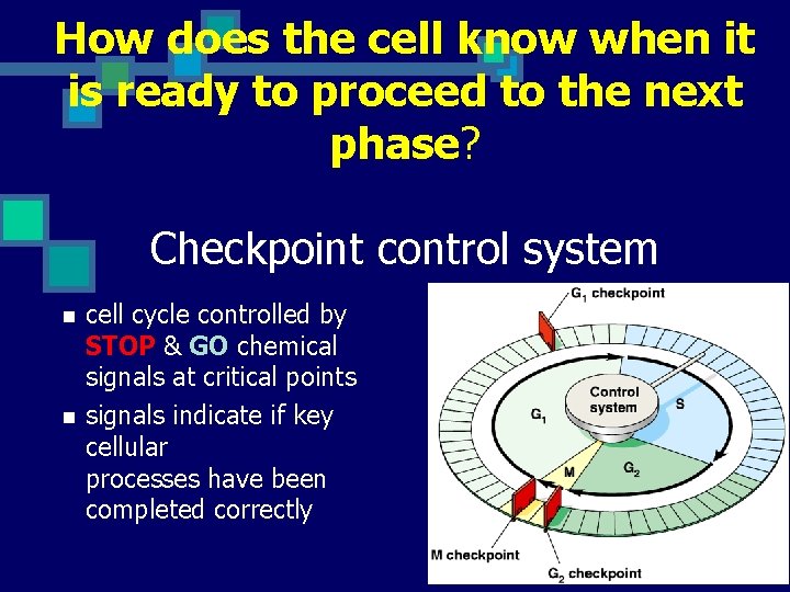 How does the cell know when it is ready to proceed to the next