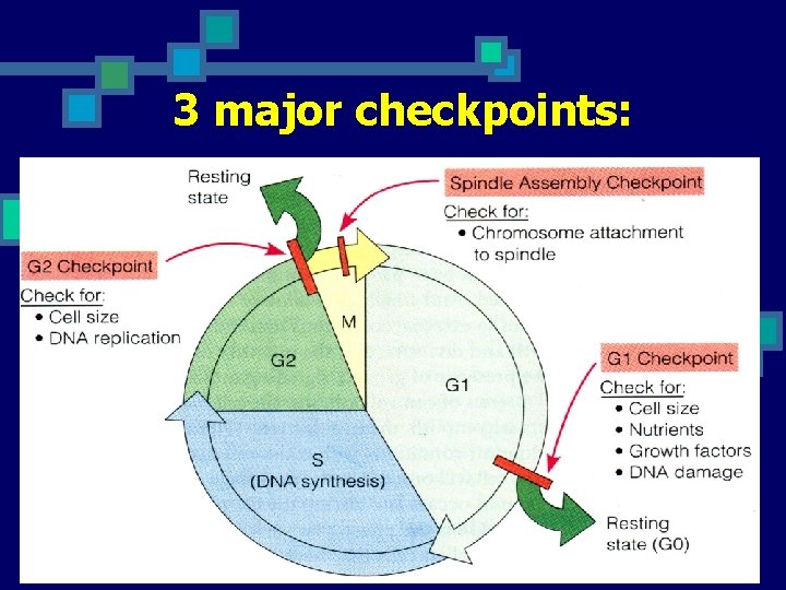 3 major checkpoints: 