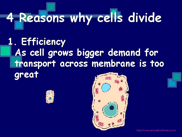 4 Reasons why cells divide 1. Efficiency As cell grows bigger demand for transport