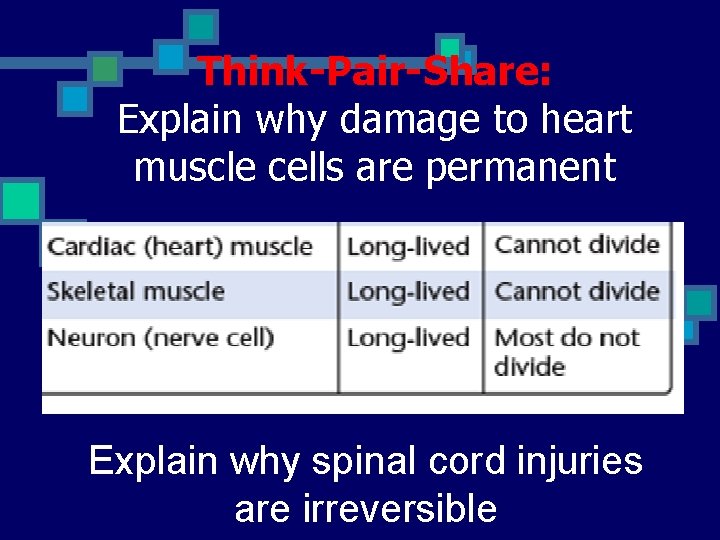 Think-Pair-Share: Explain why damage to heart muscle cells are permanent Explain why spinal cord