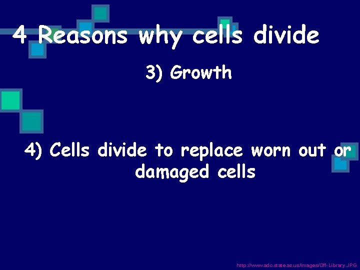 4 Reasons why cells divide 3) Growth 4) Cells divide to replace worn out