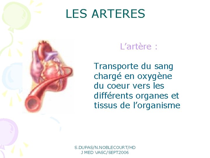 LES ARTERES L’artère : Transporte du sang chargé en oxygène du coeur vers les